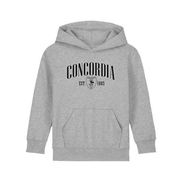 Concordia Hoodie Kids grey Thumbnail