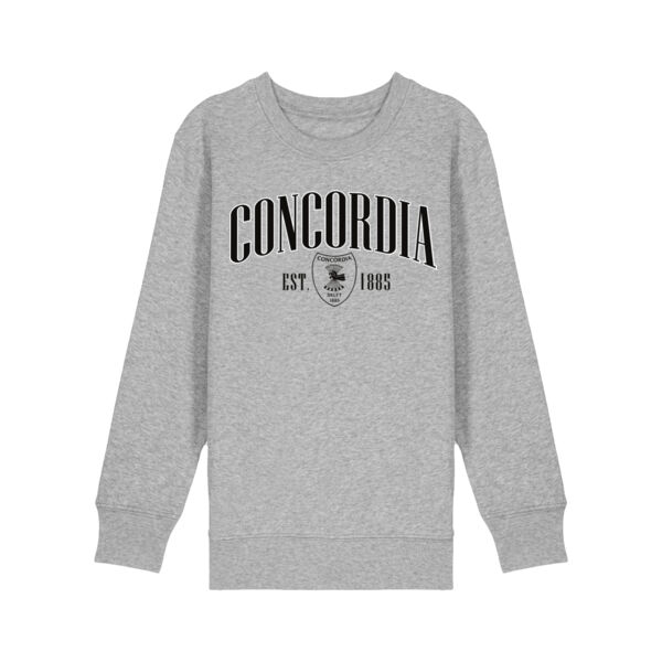 Concordia Logo Sweater Kids grey Thumbnail